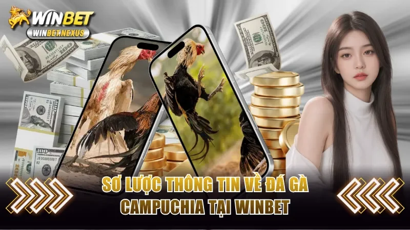 Sơ lược thông tin về đá gà Campuchia 